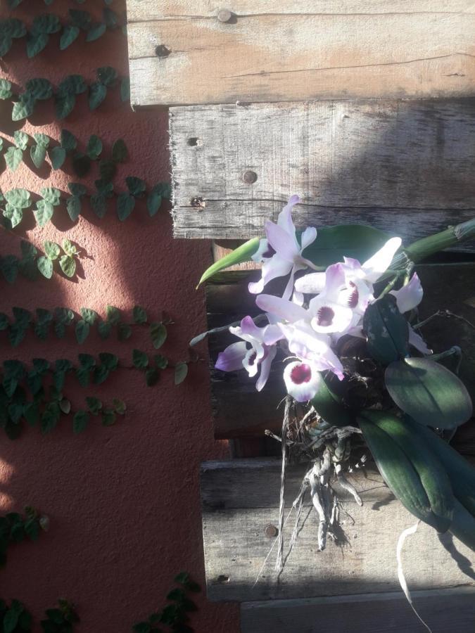 Casa Indaiá BnB Caraguatatuba Eksteriør billede